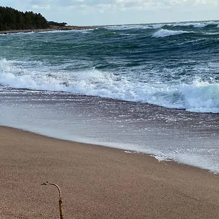 Seaside Rendezvous *