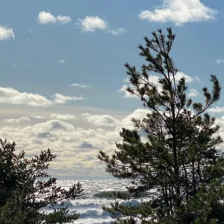 Seaside Rendezvous * Kalana