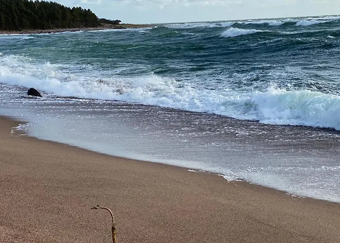 Seaside Rendezvous *